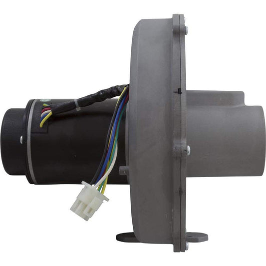 Pentair 460757 Air Combustion Blower MasterTemp 300 Side View