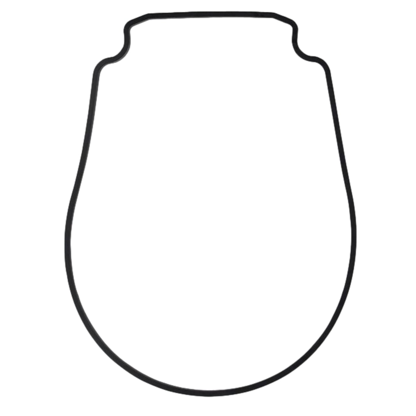 Swimables Pentair Whisperflo Intelliflo Seal Plate Gasket SW-21-357 Detail