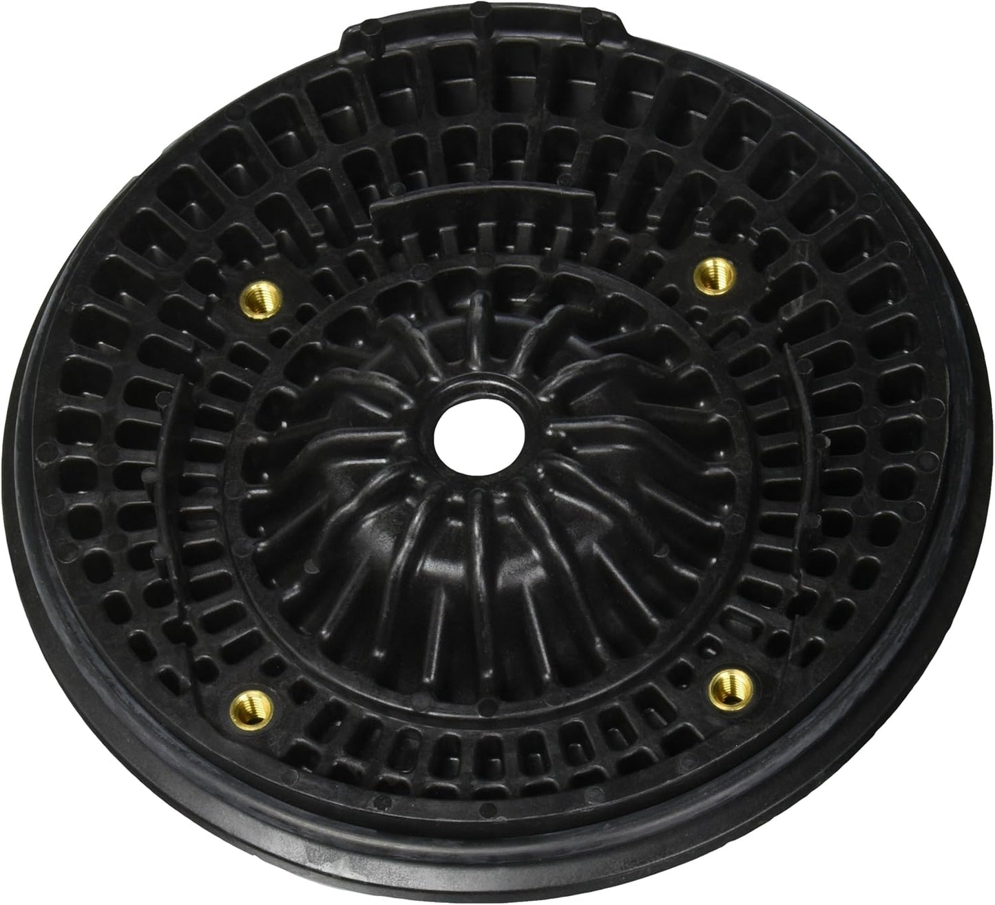 Pentair C203-194PV Seal Plate Kit with Viton Seal Replacement