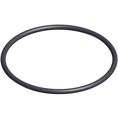 Aladdin 2138 Replacement O-Ring for Hayward Filter DEX2400Z5