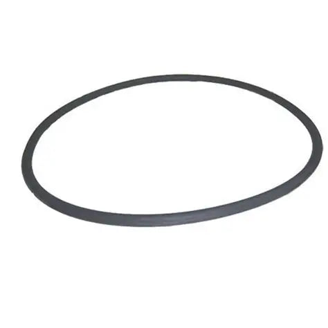 Swimables Jandy Filter O-Ring R0357800 SW-80-524 Detail View
