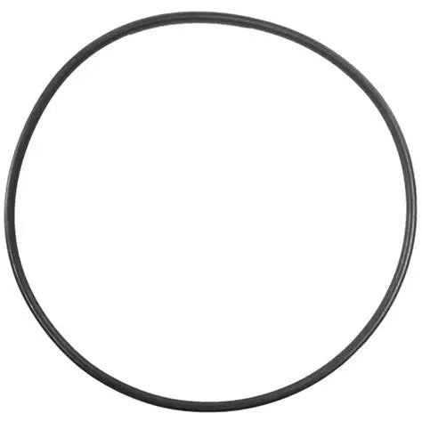 Aladdin O-465 Pentair SuperMax SuperFlo Pump Seal Plate O-Ring 355619