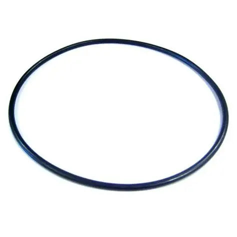Pentair 355619 SuperMax SuperFlo pump seal plate O-ring detail