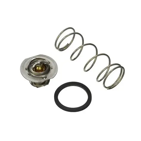 Raypak Unitherm Governor Kit 062234B Components Detail