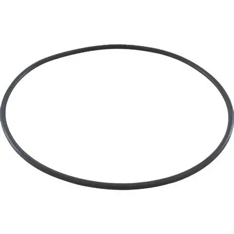 Aladdin O-521 Jandy Pump Seal Plate O-Ring Replacement R0446300