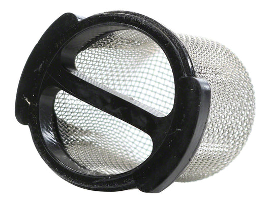 Pentair pool cleaner wall fitting screen E24 close-up product view