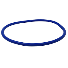 Pentair 356189Z Lid O-Ring Diagram for Intelliflo3 VSF Pump