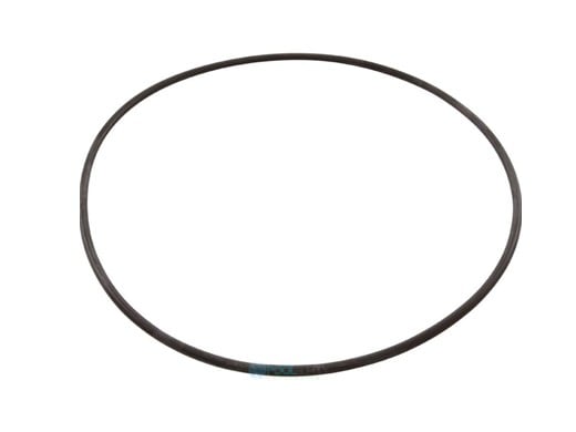 Jandy R0446300 Backplate O-Ring Gasket Seal