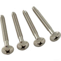 Jandy DEV DEL DE Filter Handle Screws R0359900 4-Pack