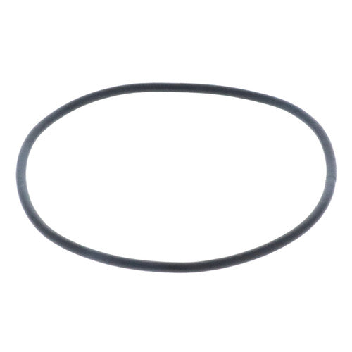 Pentair WhisperFloXF IntelliFloXF Seal Plate O-Ring 351446 Detail View