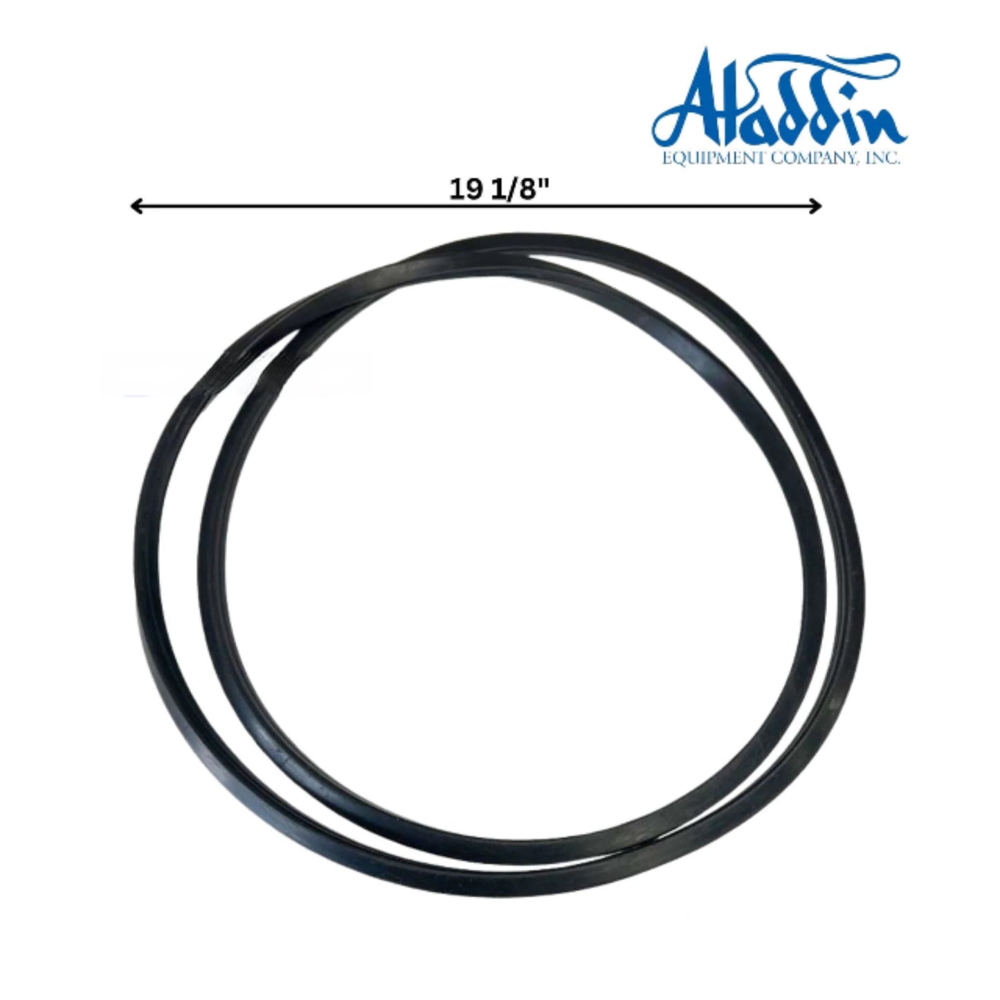 Aladdin O-420 Pentair FNS Filter O-Ring 195008