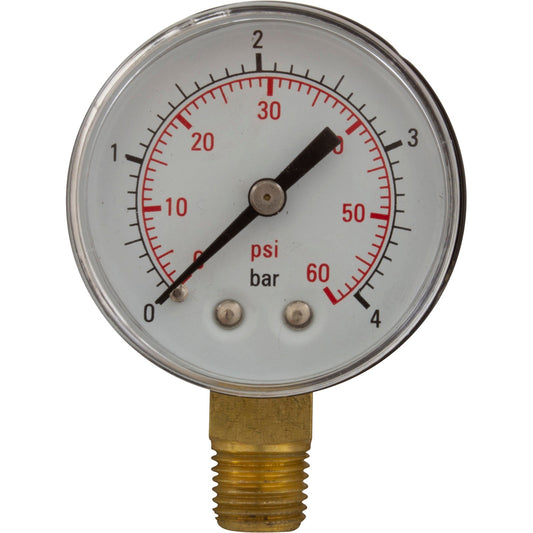 CMP Pressure Gauge for Pentair Filters 190058 25501-000-800 Front