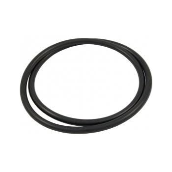 Pentair Filter Tank Clamp O-Ring 39010200