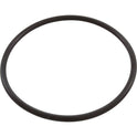 Pentair WhisperFlo Lid O-Ring 350013 by Swimables Detail
