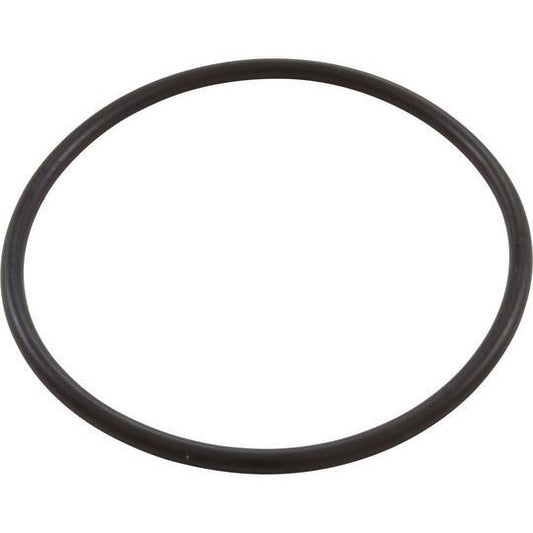 Pentair WhisperFlo Lid O-Ring 350013 by Swimables Detail