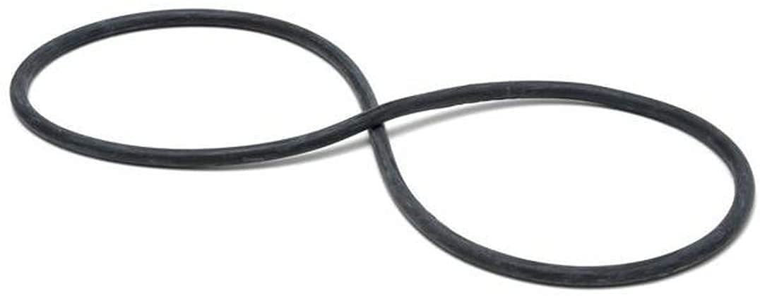 Jandy Tank O-Ring R0357800 Replacement Seal Detail