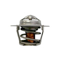 Raypak Unitherm Governor Kit 019062F for AVIA Heaters
