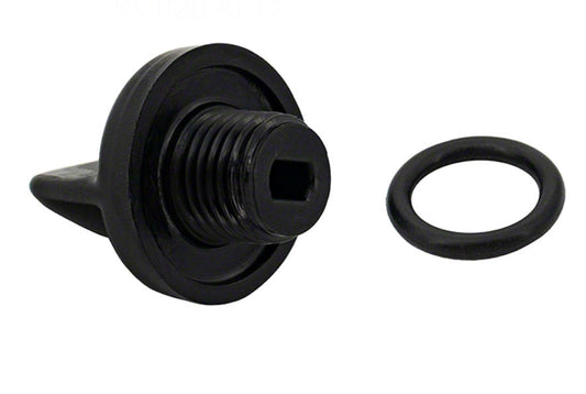 Pentair U178-920P Drain Plug With O-Ring for MasterTemp and Max-E-Therm Heaters