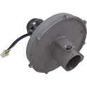 Pentair Combustion Air Blower 460757 for MasterTemp 300 Natural Gas Heater
