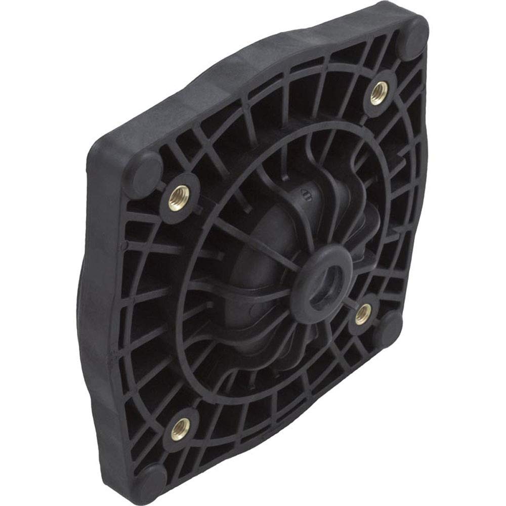 Pentair Sta-Rite SuperMax Black Seal Plate 355612