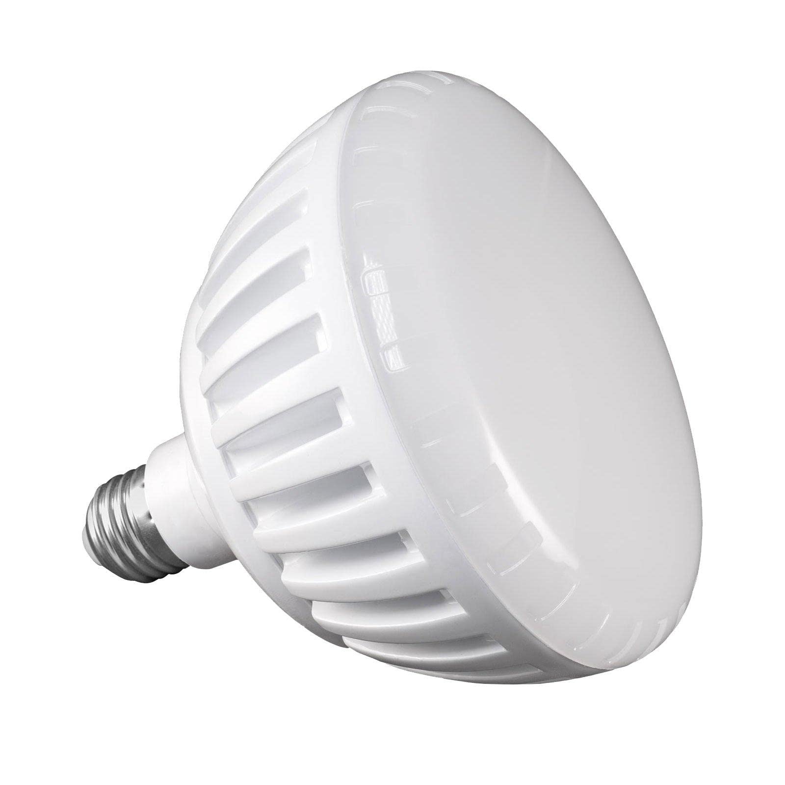 J&J Electronics PureWhite Pro LED Pool Lamp Cool White 120V 46610