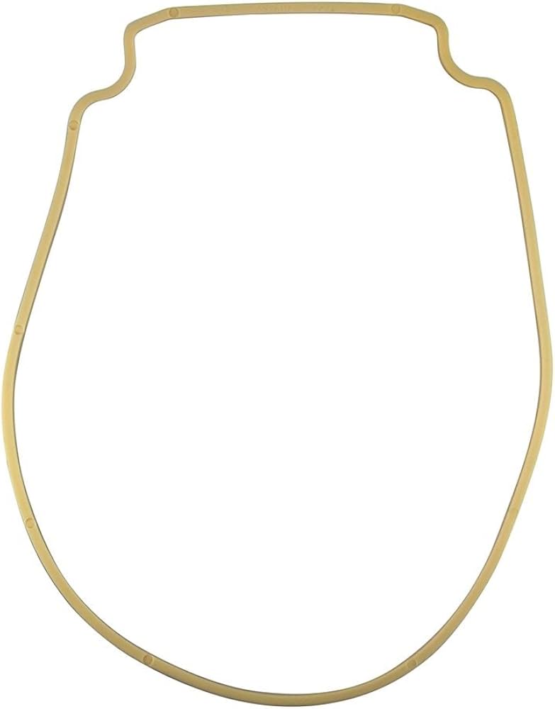 Pentair WhisperFlo IntelliFlo Pump Seal Plate Gasket 357102 Almond
