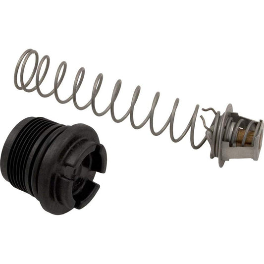 Pentair 77707-0010 Thermal Regulator Kit for MasterTemp and Max-E-Therm Heaters