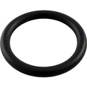 Aladdin Drain Plug O-Ring for Pentair Pumps 51005000 O-71