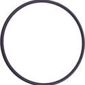 Swimables Hayward Filter Tank O-Ring DEX2400K SW-27-429 Close-Up