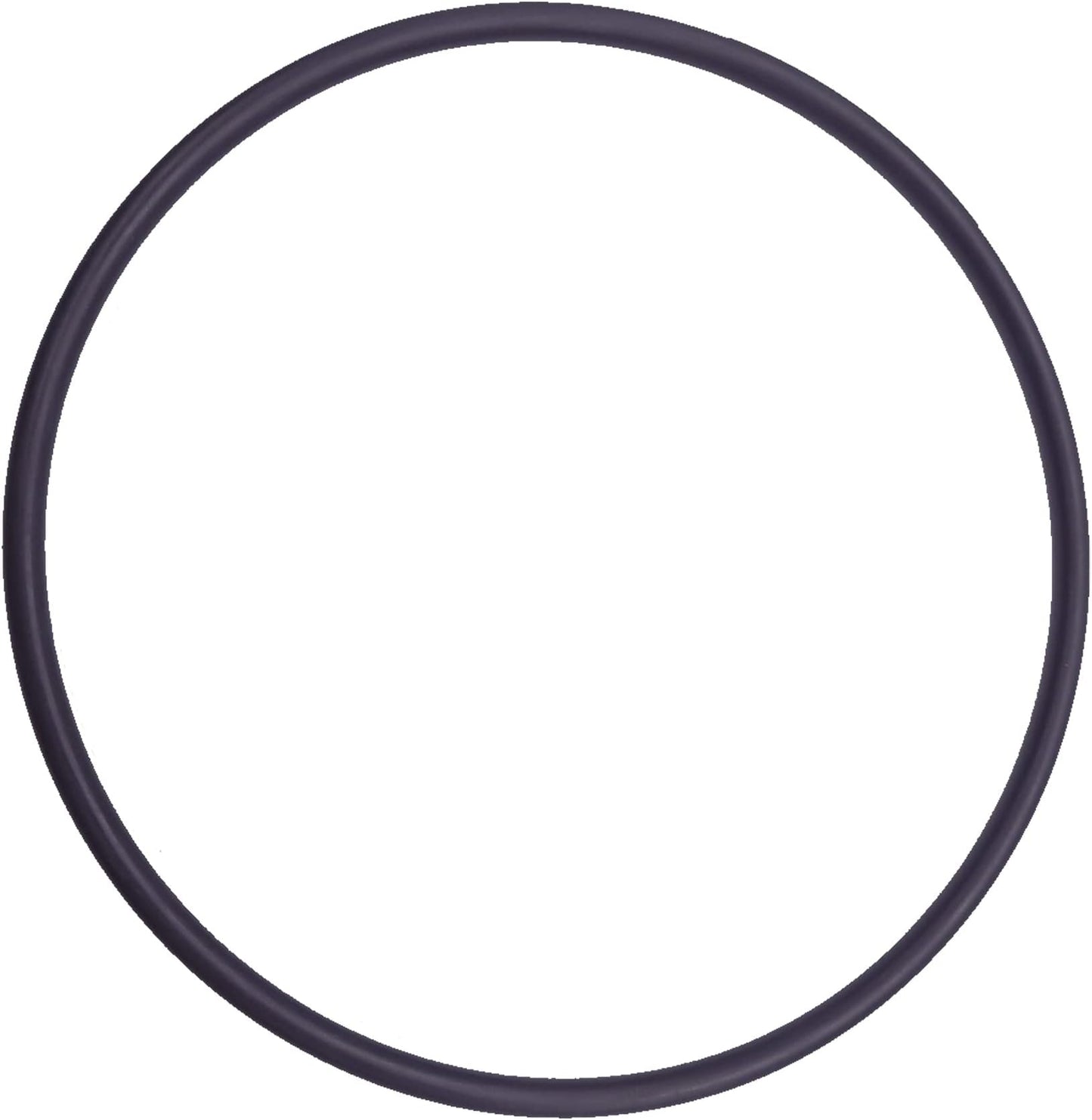 Swimables Hayward Filter Tank O-Ring DEX2400K SW-27-429 Close-Up