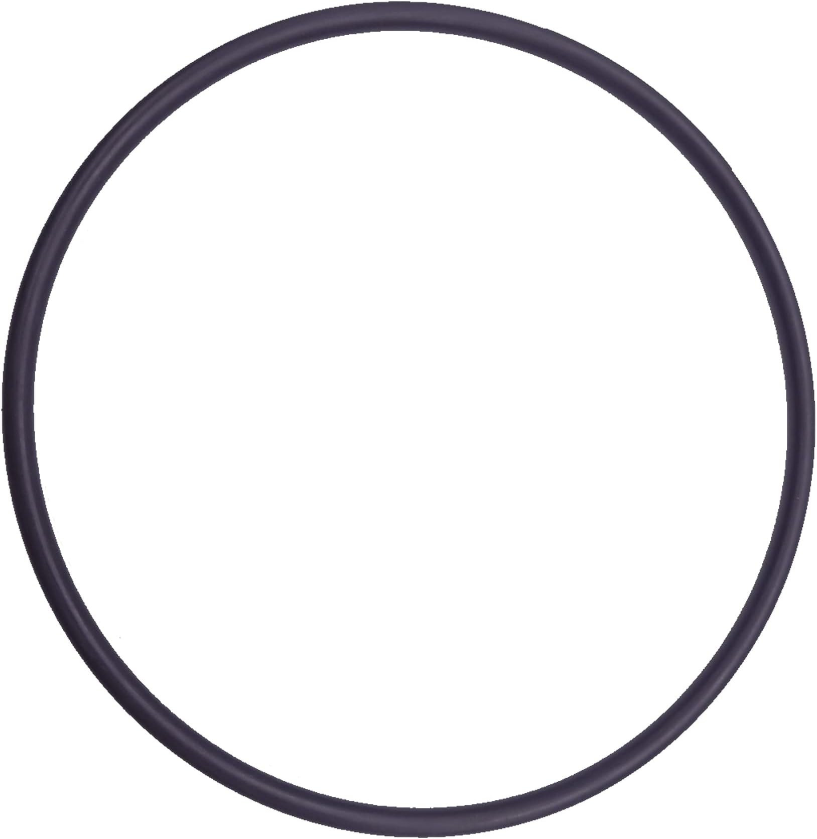 Swimables Hayward Filter Tank O-Ring DEX2400K SW-27-429 Close-Up