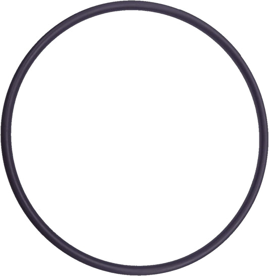 Swimables Hayward Filter Tank O-Ring DEX2400K SW-27-429 Close-Up