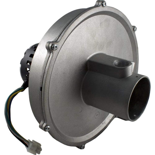 Pentair 77707-0254 MasterTemp 175 200 Propane Air Blower Kit Detail