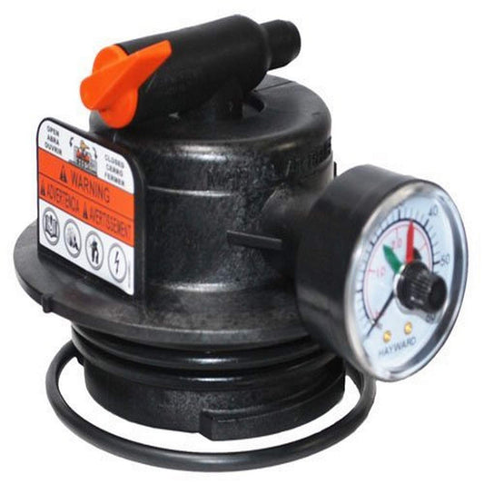 DEX2420MAR2 | Hayward ProGrid & SwimClear Manual Air Relief Assembly