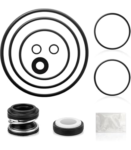 Pentair Pump Seal Kit 356197 for SuperFlo and SuperMax Pumps