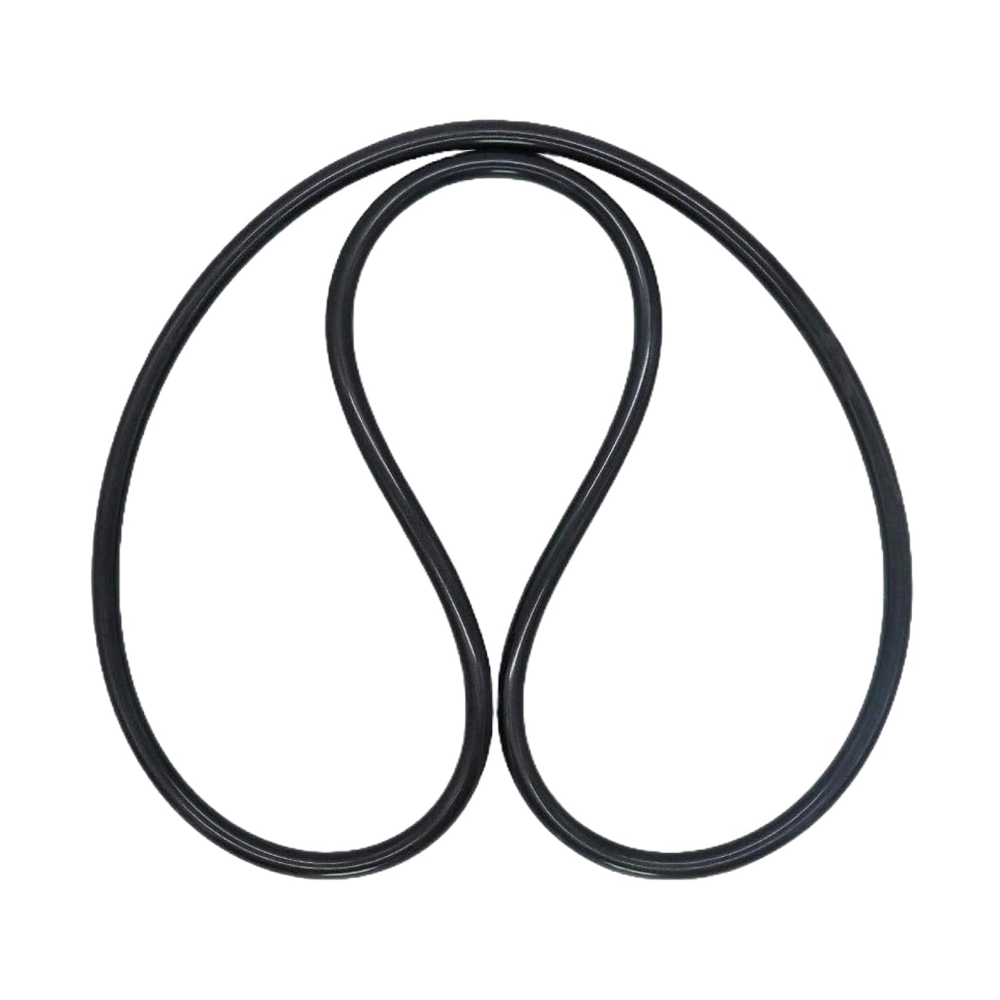 Jandy DEV DEL Filter Tank O-Ring R0357800