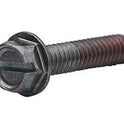 Pentair 355389 Pool Pump Impeller Locking Screw SuperMax SuperFlo