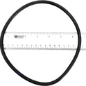 Pentair 35505-1440 Trap Cover Lid O-Ring for WhisperfloXF and IntellifloXF Pumps