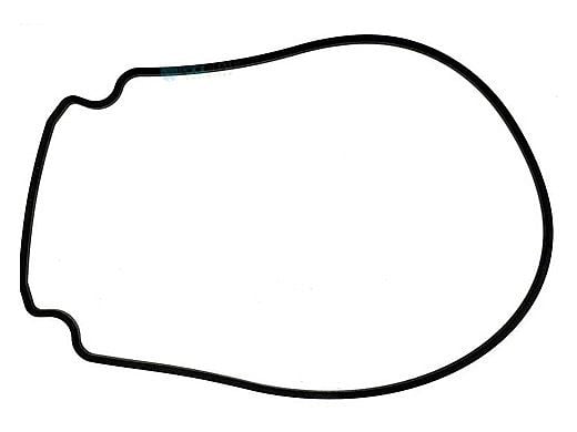 Pentair WhisperFlo IntelliFlo Pump Seal Plate Gasket 357100 Black