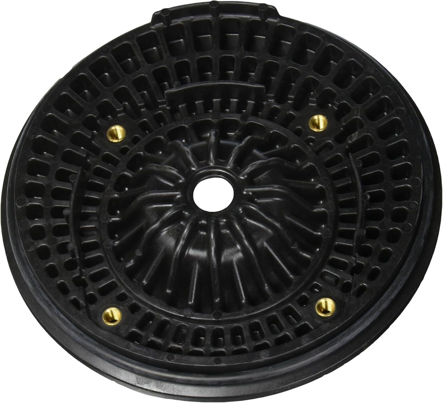 Pentair C203-194PV Seal Plate Kit with Viton Seal Replacement