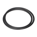 Hayward NorthStar Pump Seal Plate O-Ring SPX4000T O-239