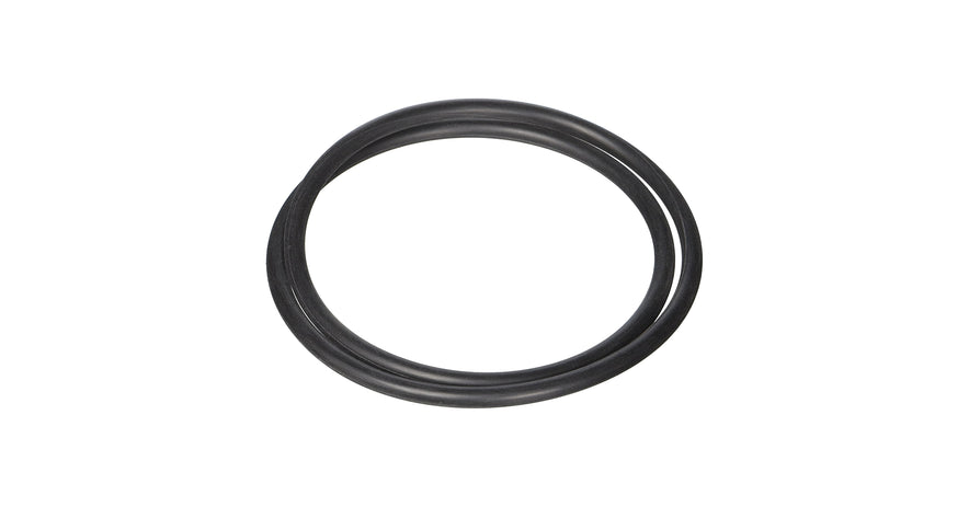 Hayward NorthStar Pump Seal Plate O-Ring SPX4000T O-239