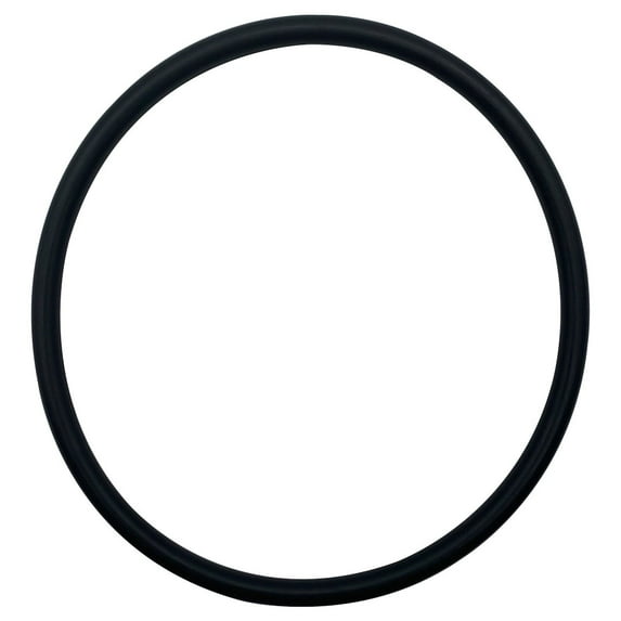 Aladdin Lid O-Ring for Jandy FloPro Pumps R0480200 O-658