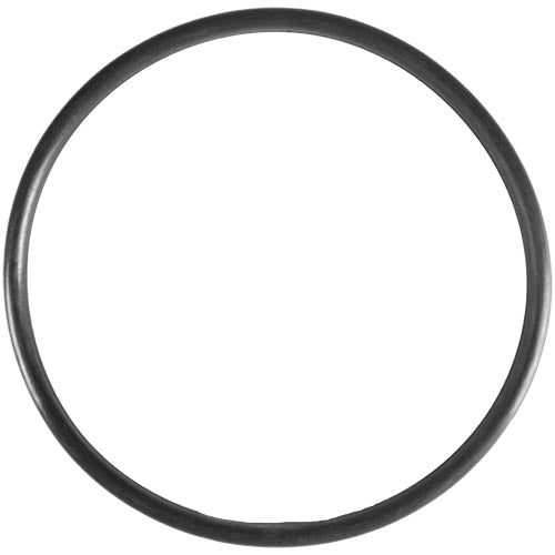 Aladdin O-318 Pentair Pump Trap Lid O-Ring 805-0436