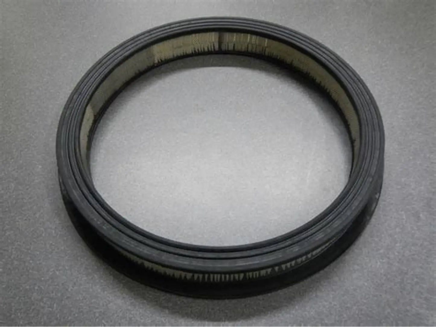 Jandy Silicone Gasket for Spa Lights R0400500