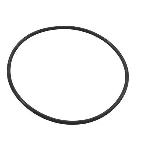 Pentair WhisperFloXF IntelliFloXF Seal Plate O-Ring 351446