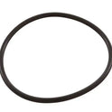 Pentair SuperFlo Challenger Pump Diffuser O-Ring 355331