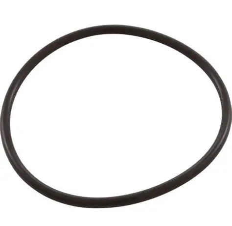 Pentair SuperFlo Challenger Pump Diffuser O-Ring 355331