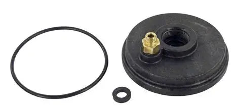 Jandy R0455400 Cap Sensor and Pressure Switch O-Ring