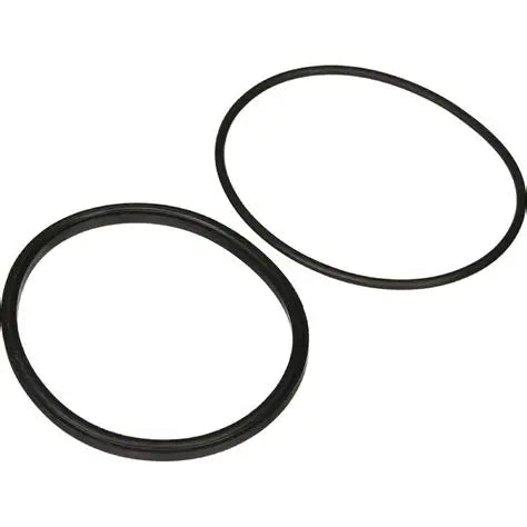 Jandy R0449100 Pump Lid Seal and O-Ring Replacement